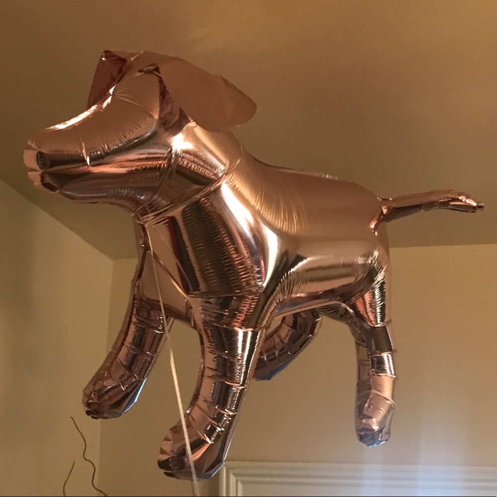 COPY - Victoria’s Secret RARE Pink dog Balloon / BamBam